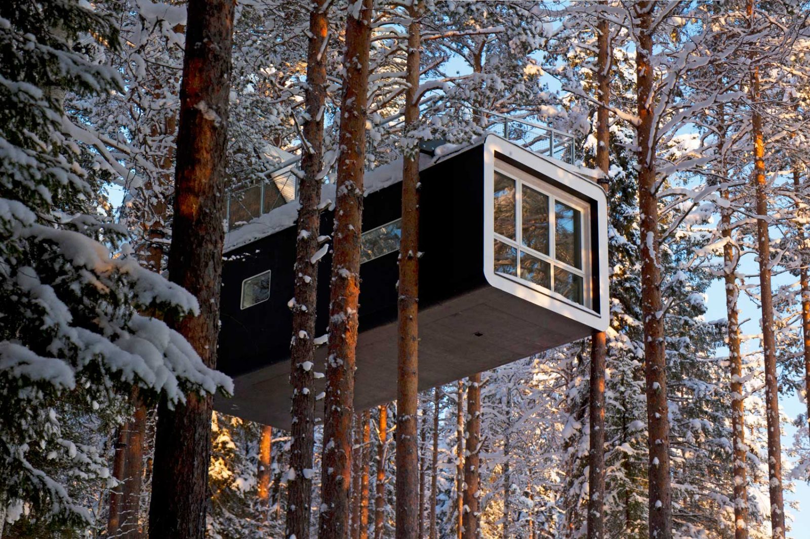tree house cabin to watch northern lights